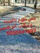 تبوك