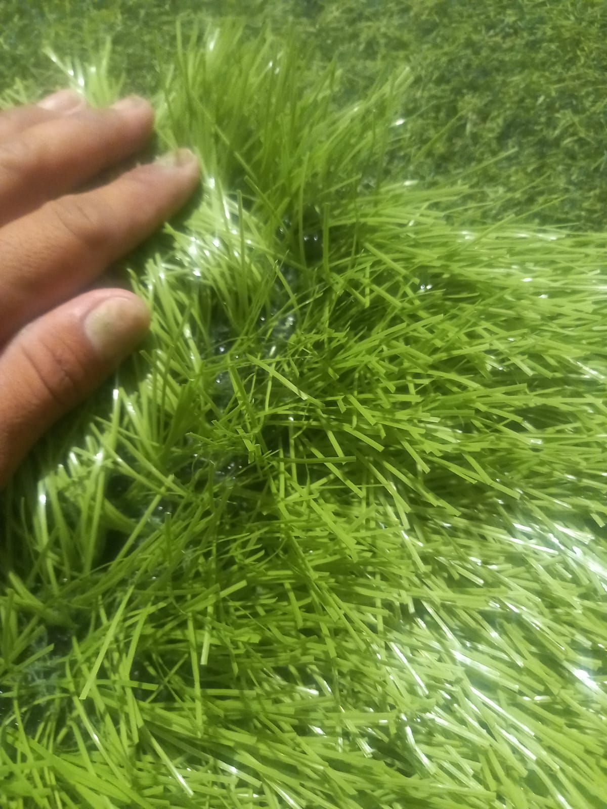 العشب الصناعي، ملاع