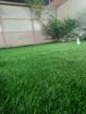 العشب الصناعي، ملاع