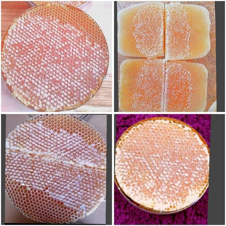 عسل حضرمي اجود انواع العسل الحضرمي الجوده عاليه