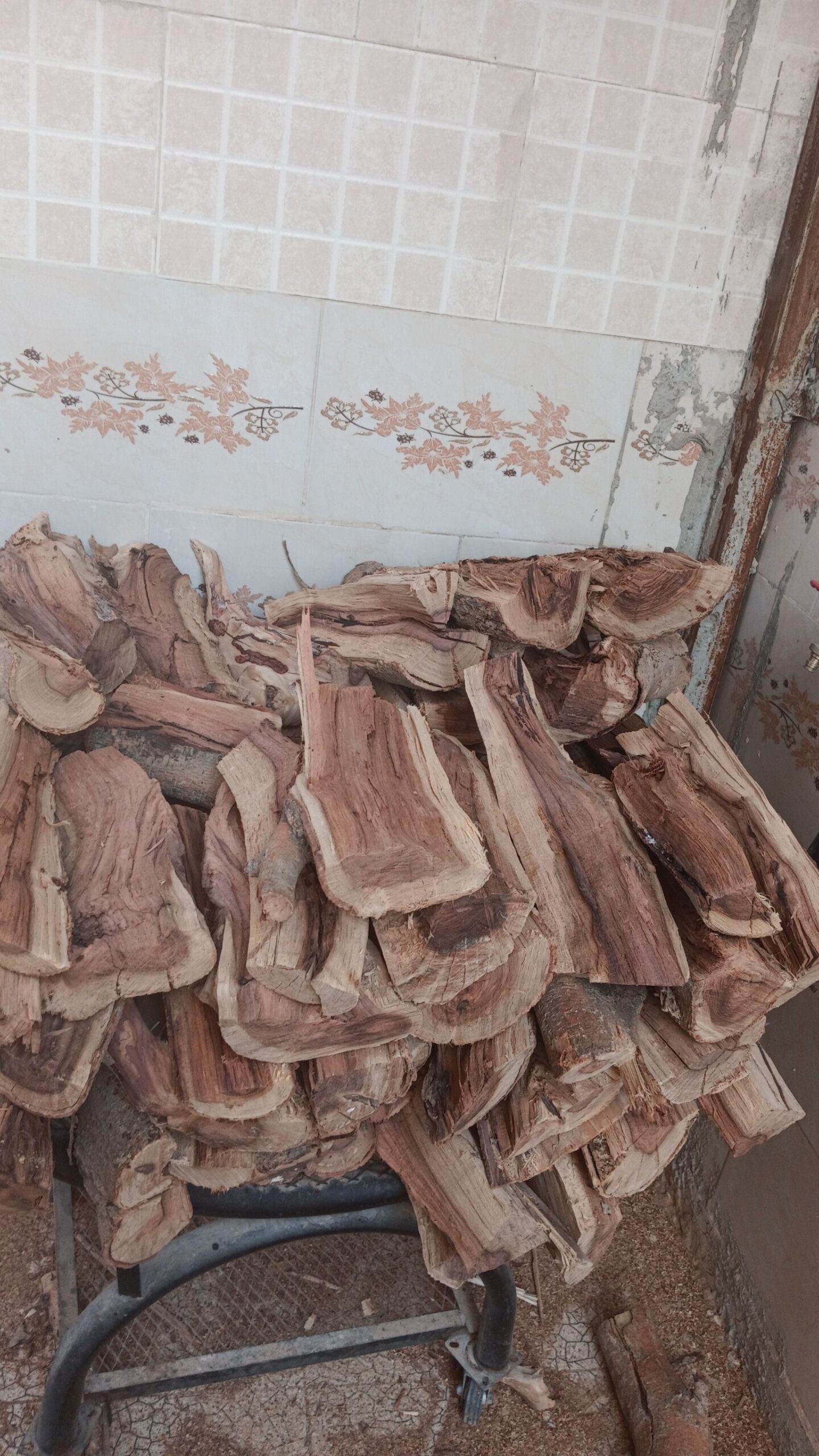 عامل تقطيع الحطب وتشليح الأشجار والنخل