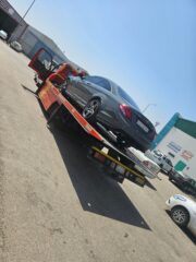 2aff2562-bd18-46d1-aaff-ea7caeeaa9c9