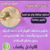 اجراءات استخراج تصريح الزواج وزاره الداخليه تواصل