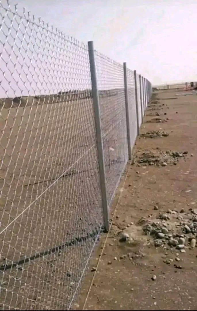 زراعه نخيل العربي والواشنطني وتركيب سياج الشبك ‏‪0