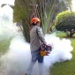 غسيل سجاد تنظيف كنب تنظيف ستاءر