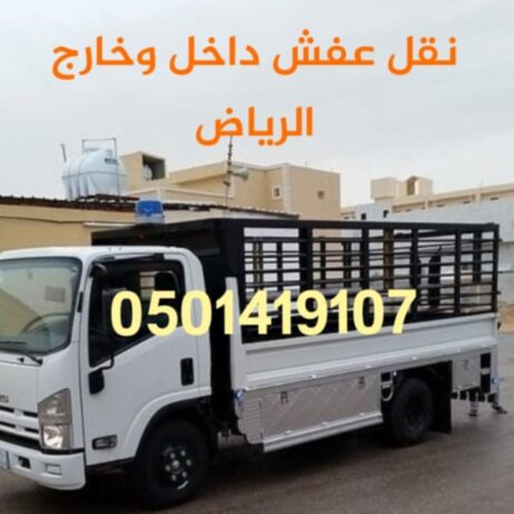 دينا طش الاثاث المستعمل والتخلص منه 0501419107