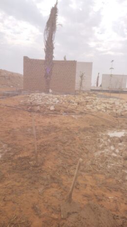 تراث
