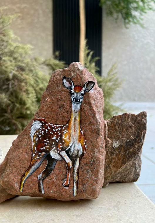 مقاول حجر 0560881544