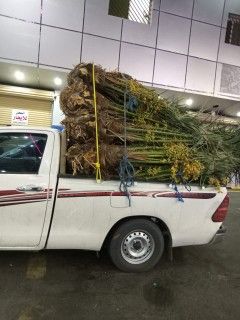بيع وتوصيل انخل الاجميع المحافضات0535254313