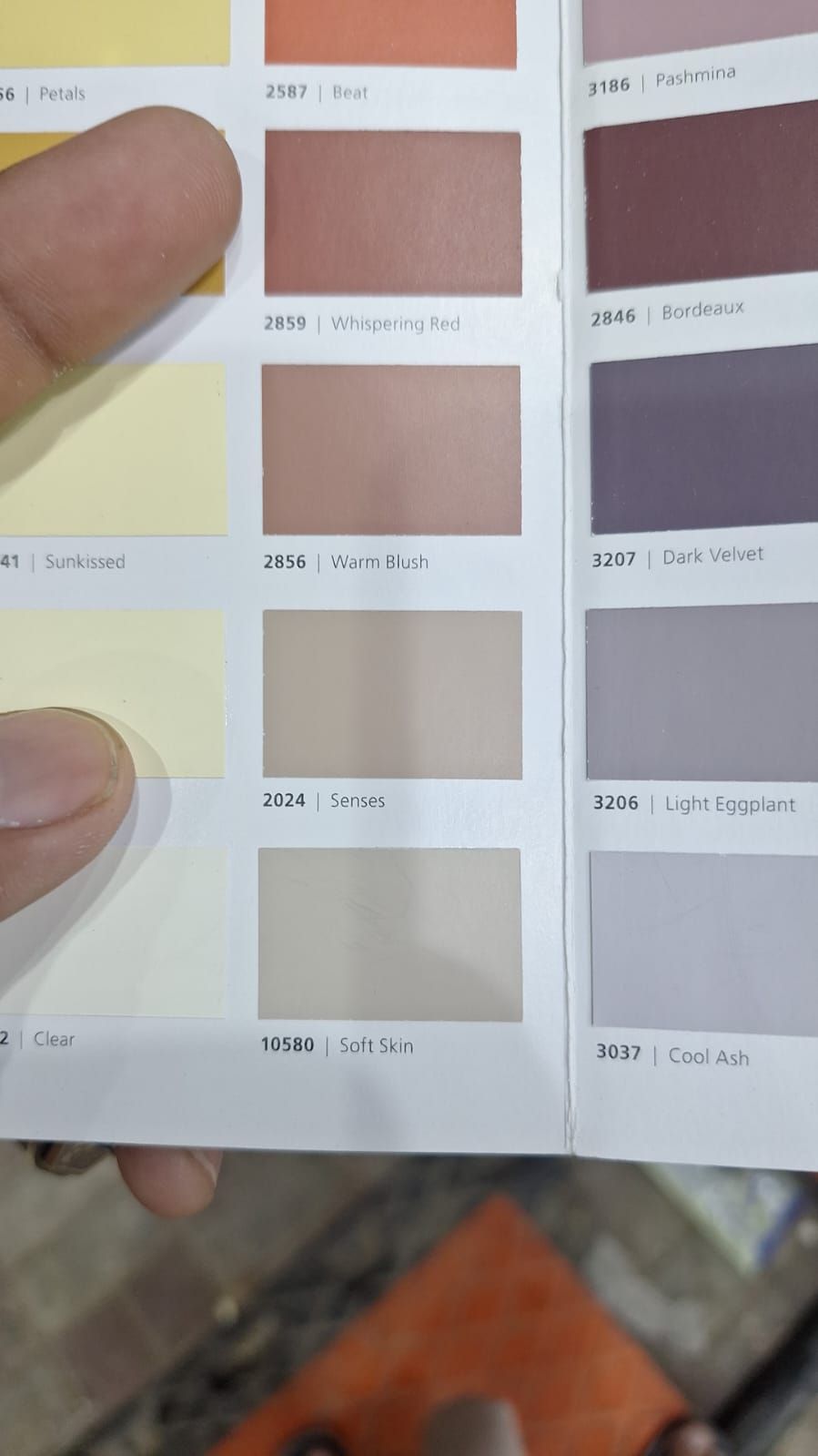 دهانات شرق الرياض بويات الجنادريه بويات ابواب شرق