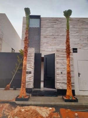 يوجد لدينا جميع انواع النخيل معا توصيلها وتغريسها