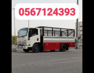 2d334569-6a83-4ad2-8e28-bdfbe9ad279b