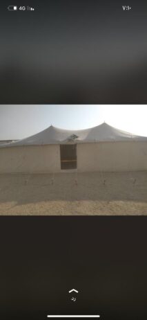 الرياض