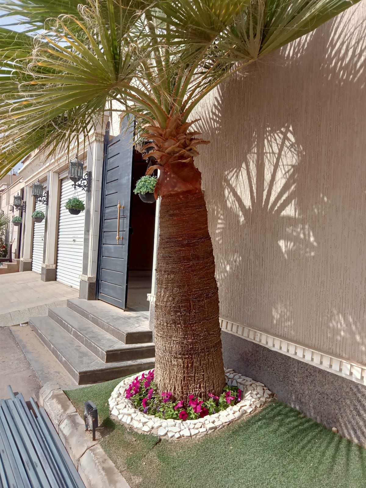 نجيله طبيعي و تظيف النخيل وزراعة الورود