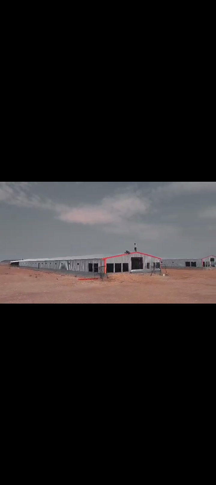 جميع دوجال دجاج في انحا المملكه