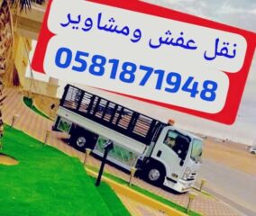 478b2823-b196-4939-9c92-8700cdcfbab5