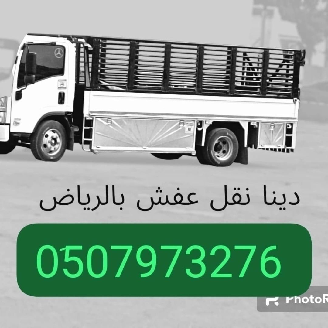 دينا طش الاثاث القديم حي وادى لبن 0َ533286100
