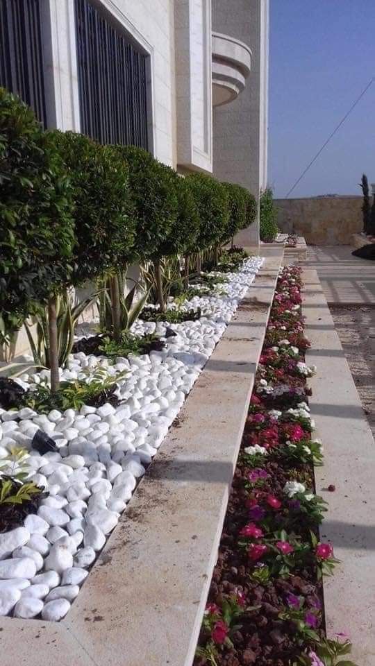 ابو نصر لتنسيق الحدايق