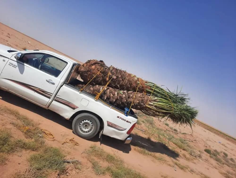 المملكه العربيه السعوديه