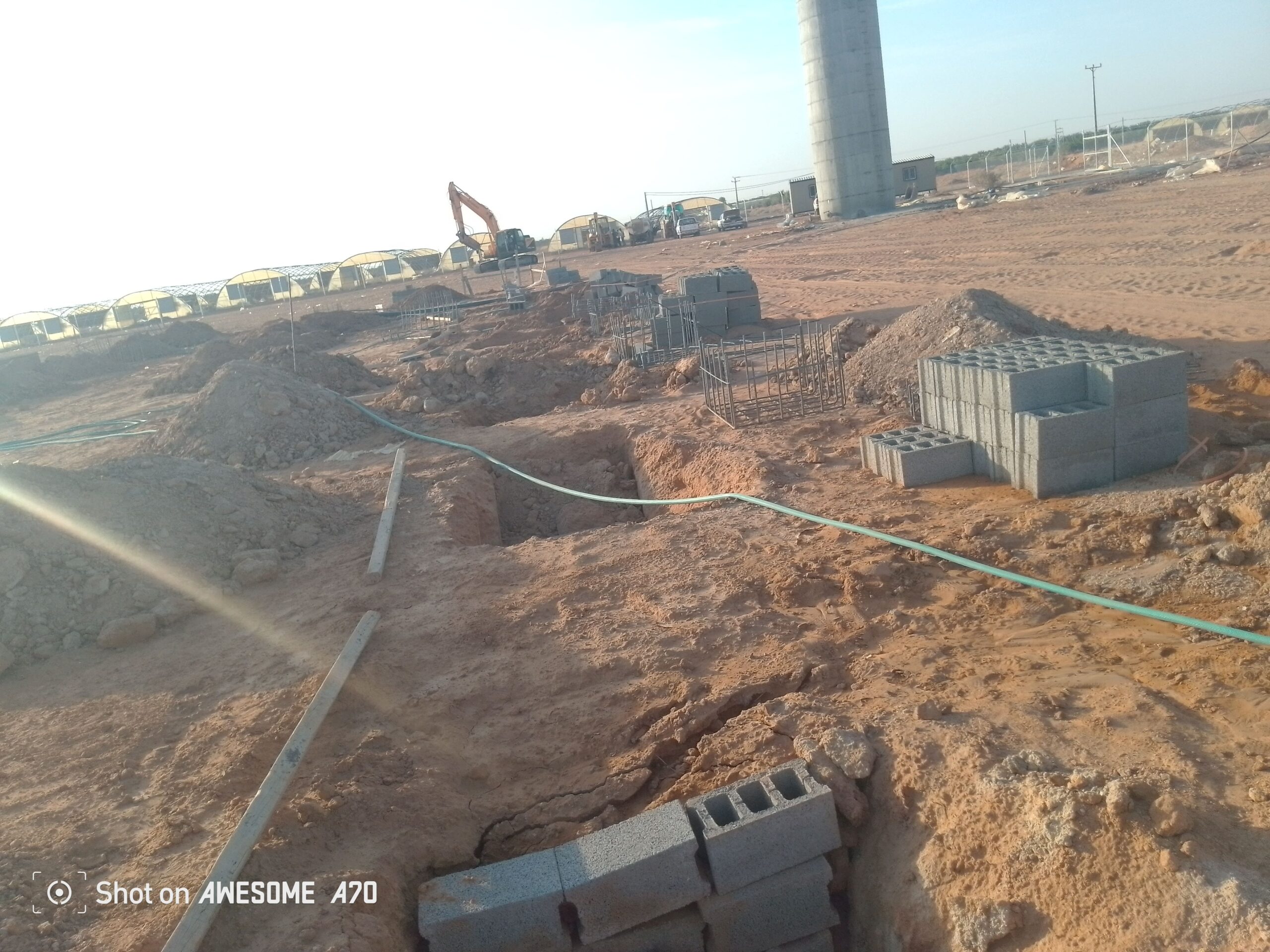 جميع دوجال دجاج في انحا المملكه