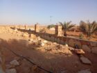 الرياض ثادق رغبه القصيم