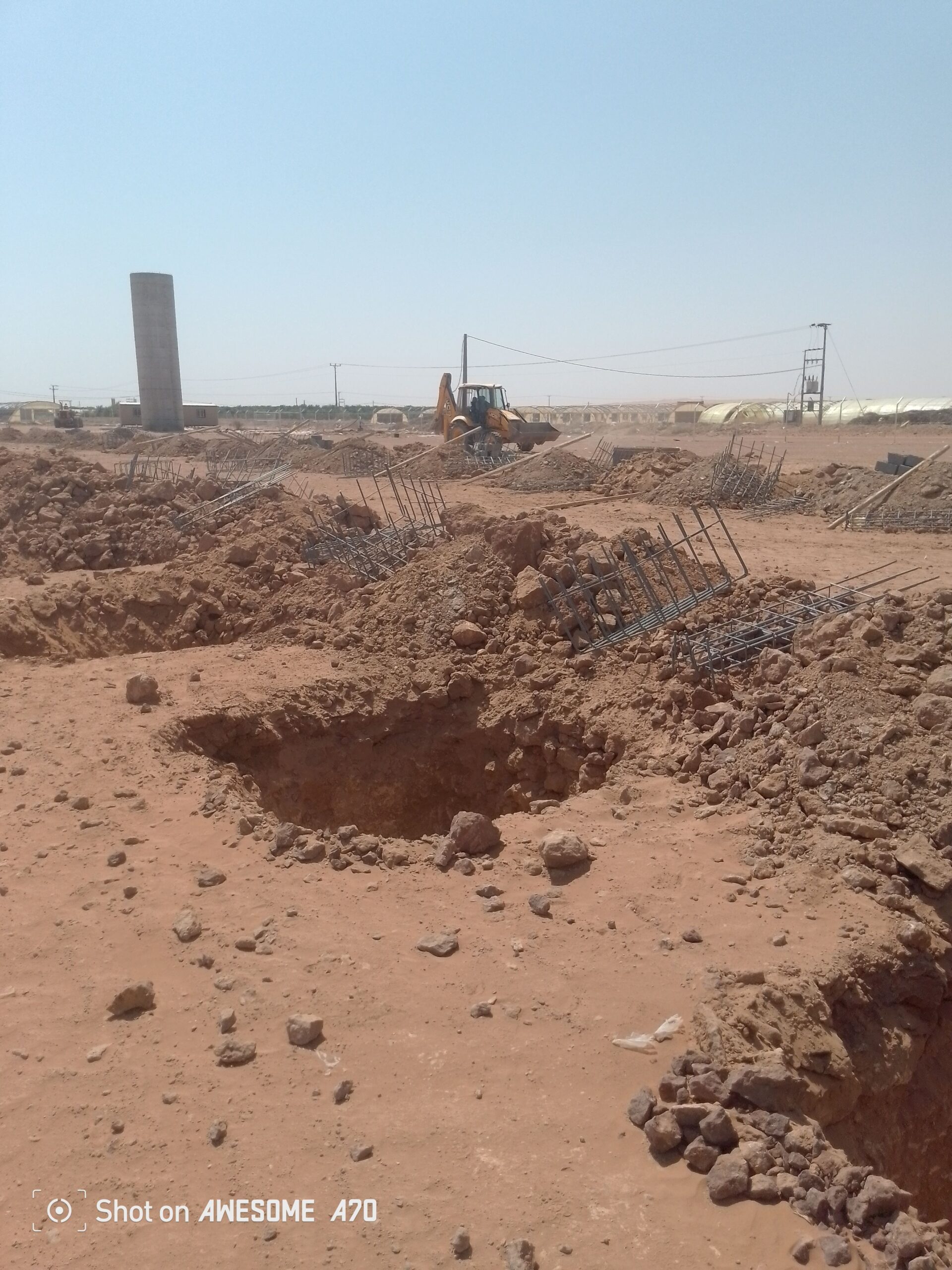 جميع دوجال دجاج في انحا المملكه