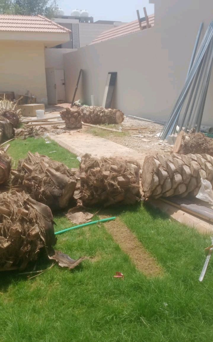 عمال تقطيع و تشليخ الحطب وقص نخله وازاله شجرة 🌲 وا