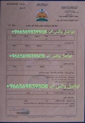 IMG-20241123-WA0003