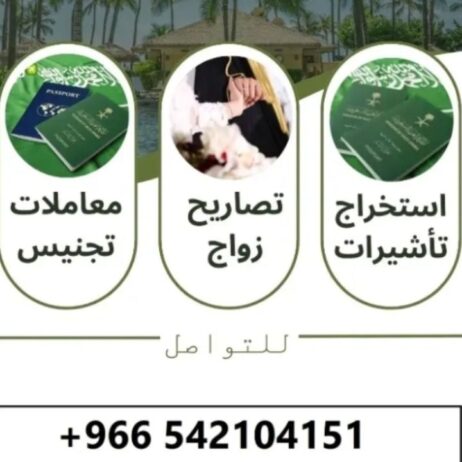 جيزان