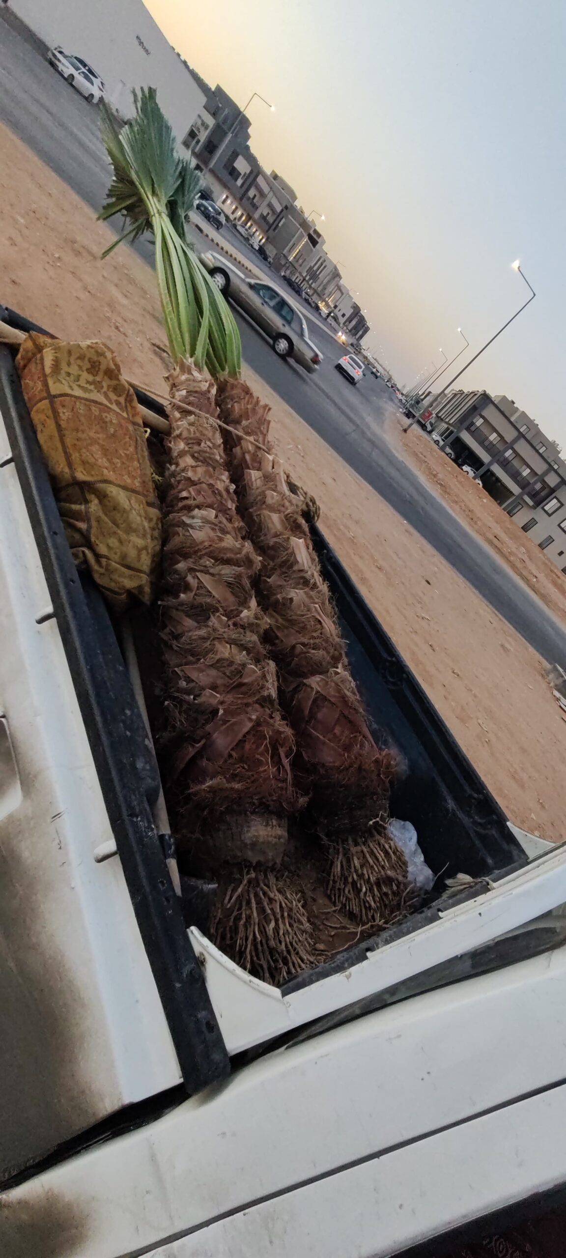 الرياض ثادق رغبه القصيم