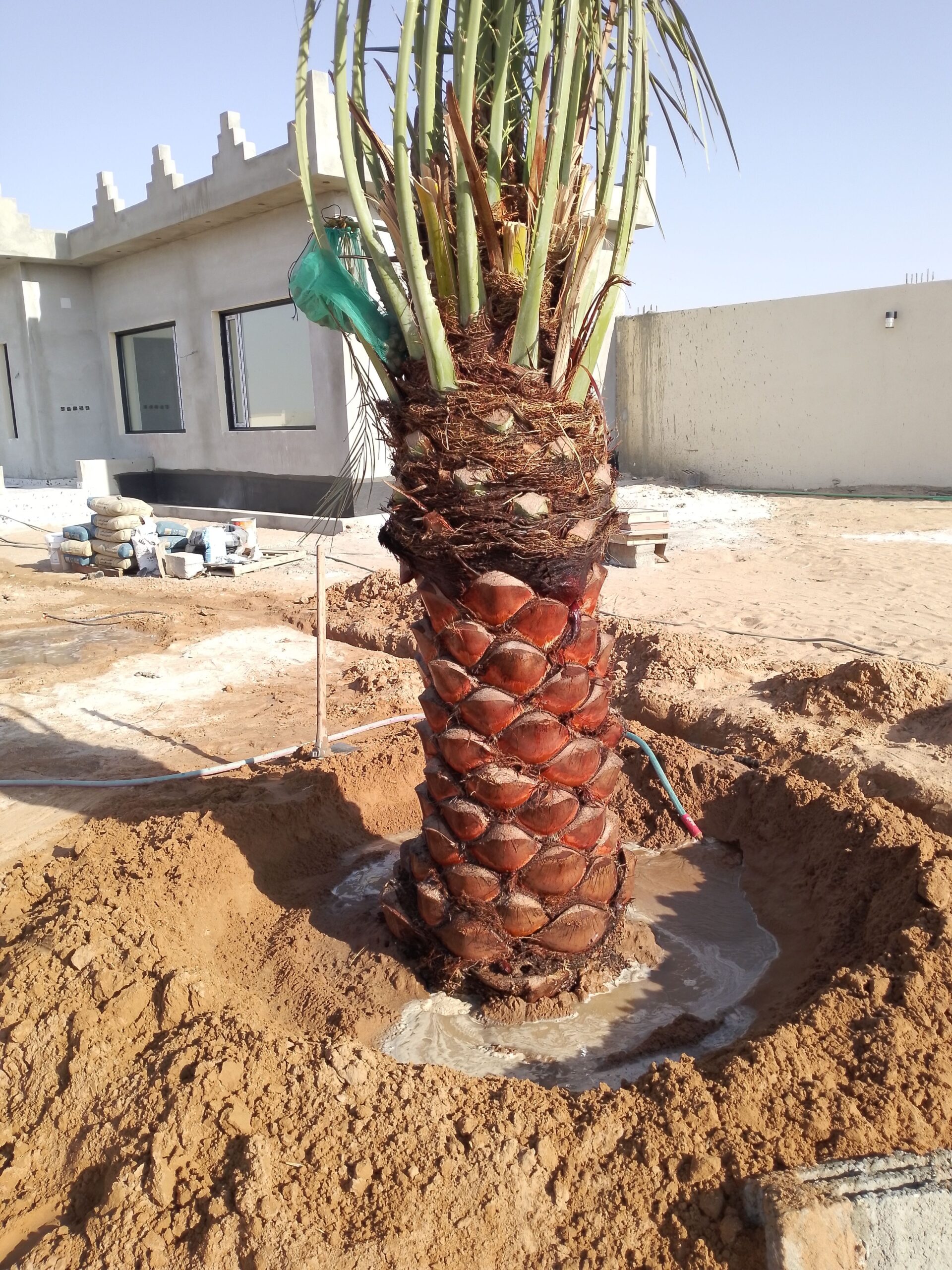 المملكه العربيه السعوديه