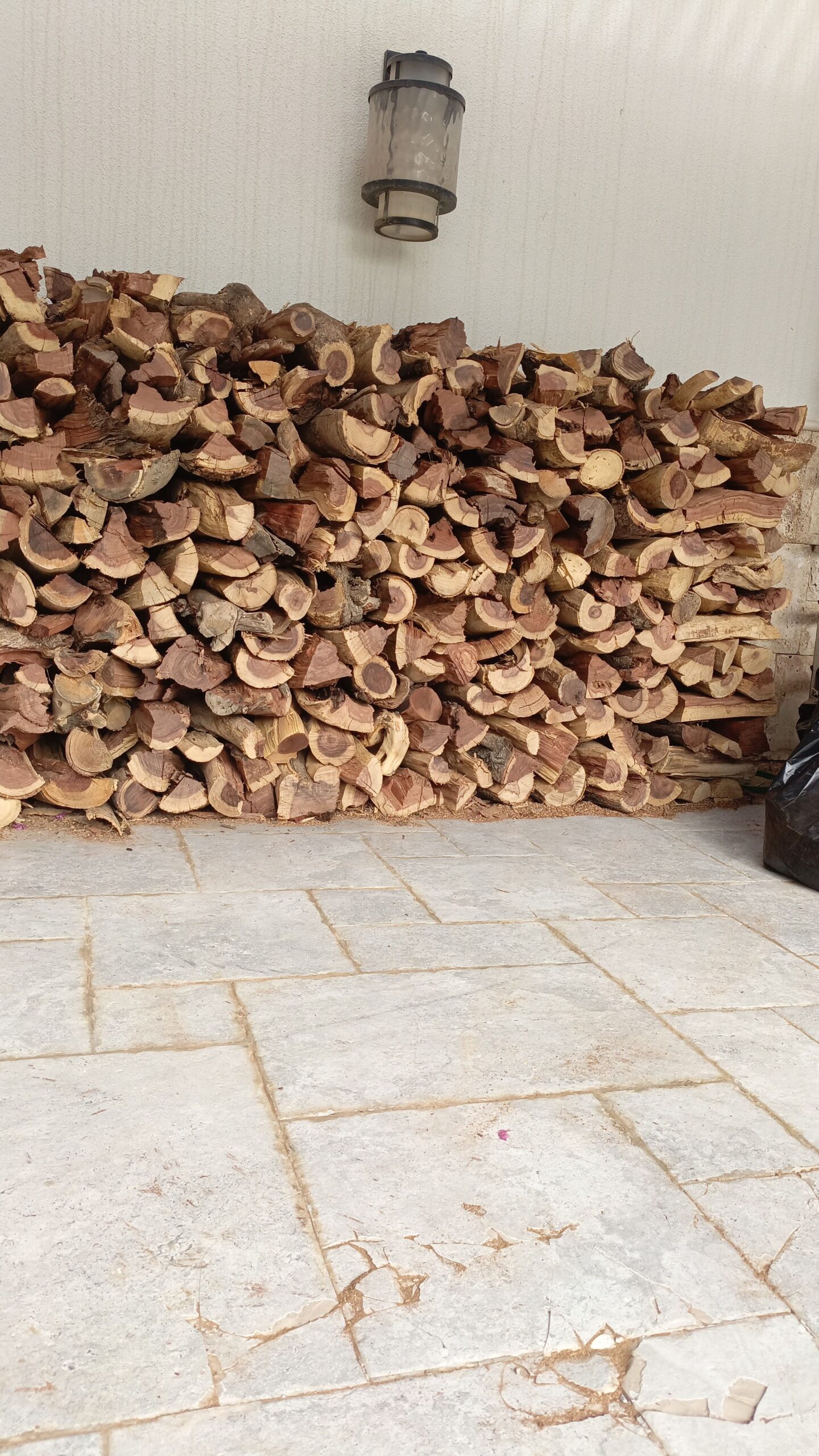 عمال تقطيع وتشليخ حطب ديكور نخل قصص شجرة🌲🌲🌲🌳 05313