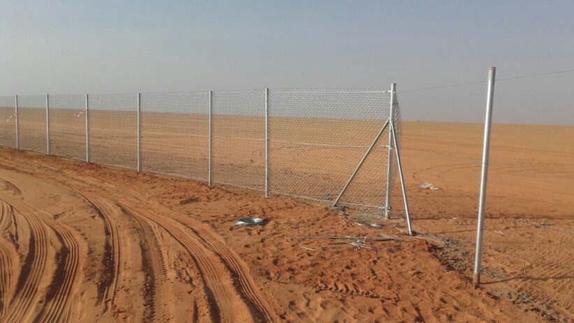 مقول شبوك مزارع وتوريد نخيل 0530866243