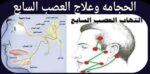 حجامة
