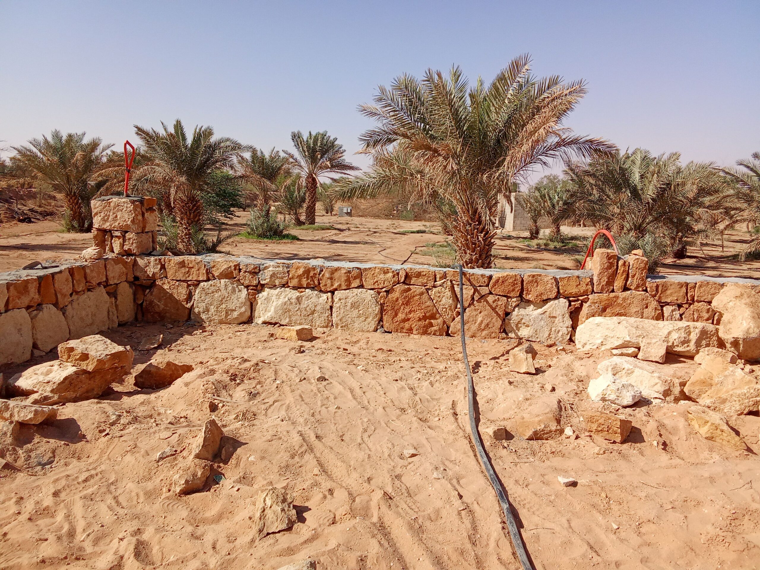 الرياض ثادق رغبه القصيم