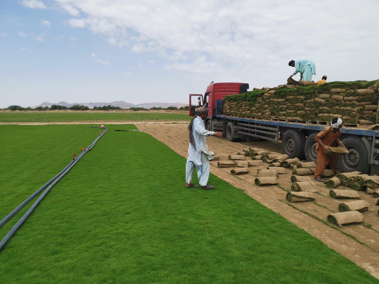 نجيله طبيعي و تظيف النخيل وزراعة الورود