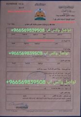 057309d5-06b7-417c-a007-fd796c7177f2