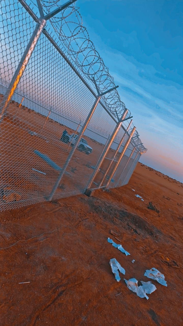 مقاول شبوك بجميع أنواعها وقسم خاص التوريد النخيل