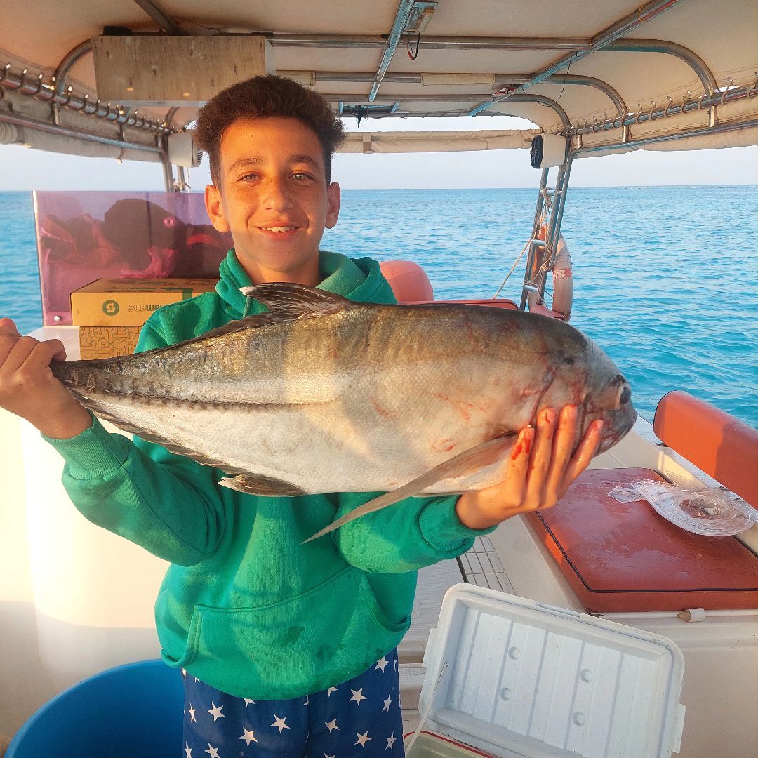 قارب للايجار رحلات بحريه