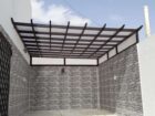 الرياض
