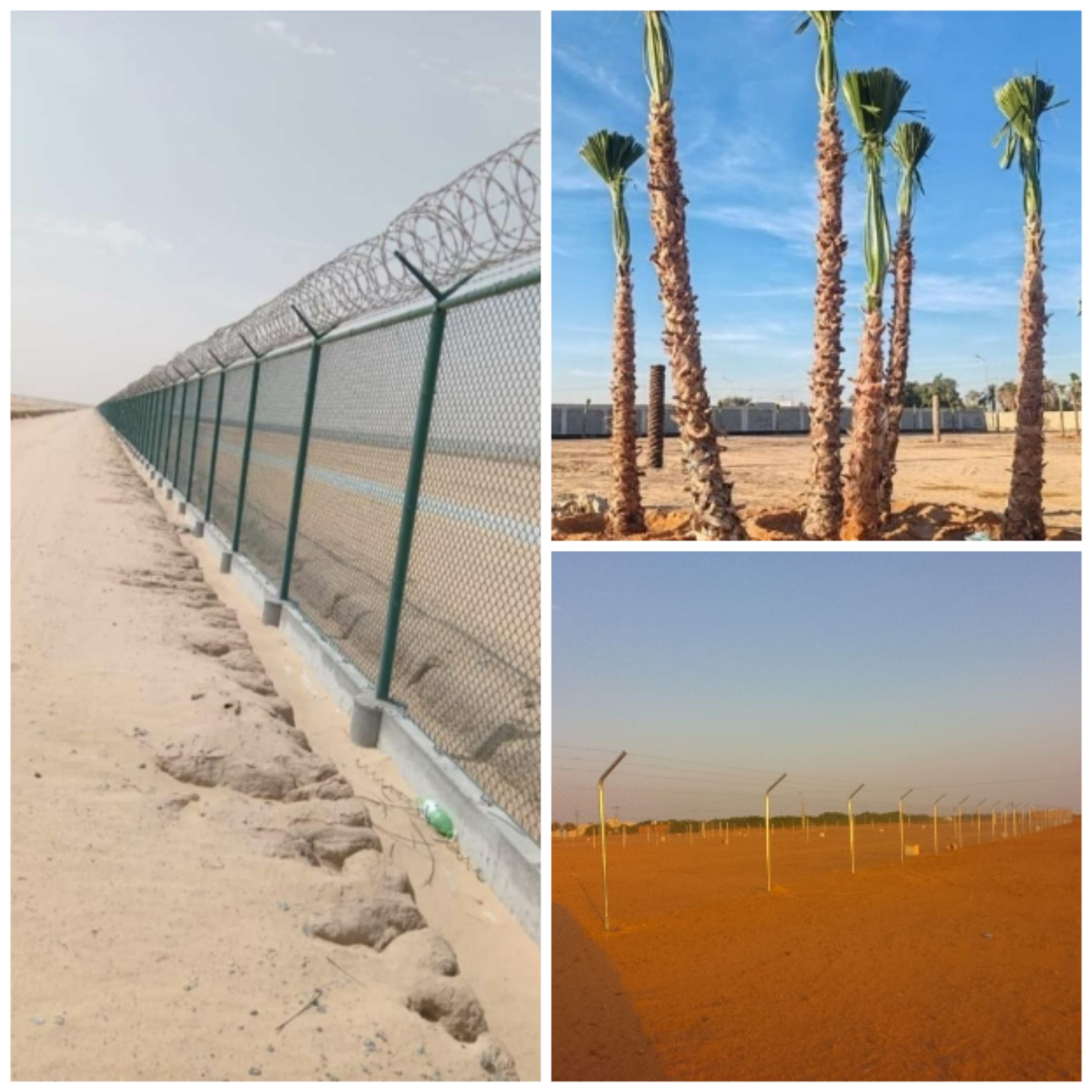تركيب شبوك سياج حديدي و زراعة النخل و الأشجار