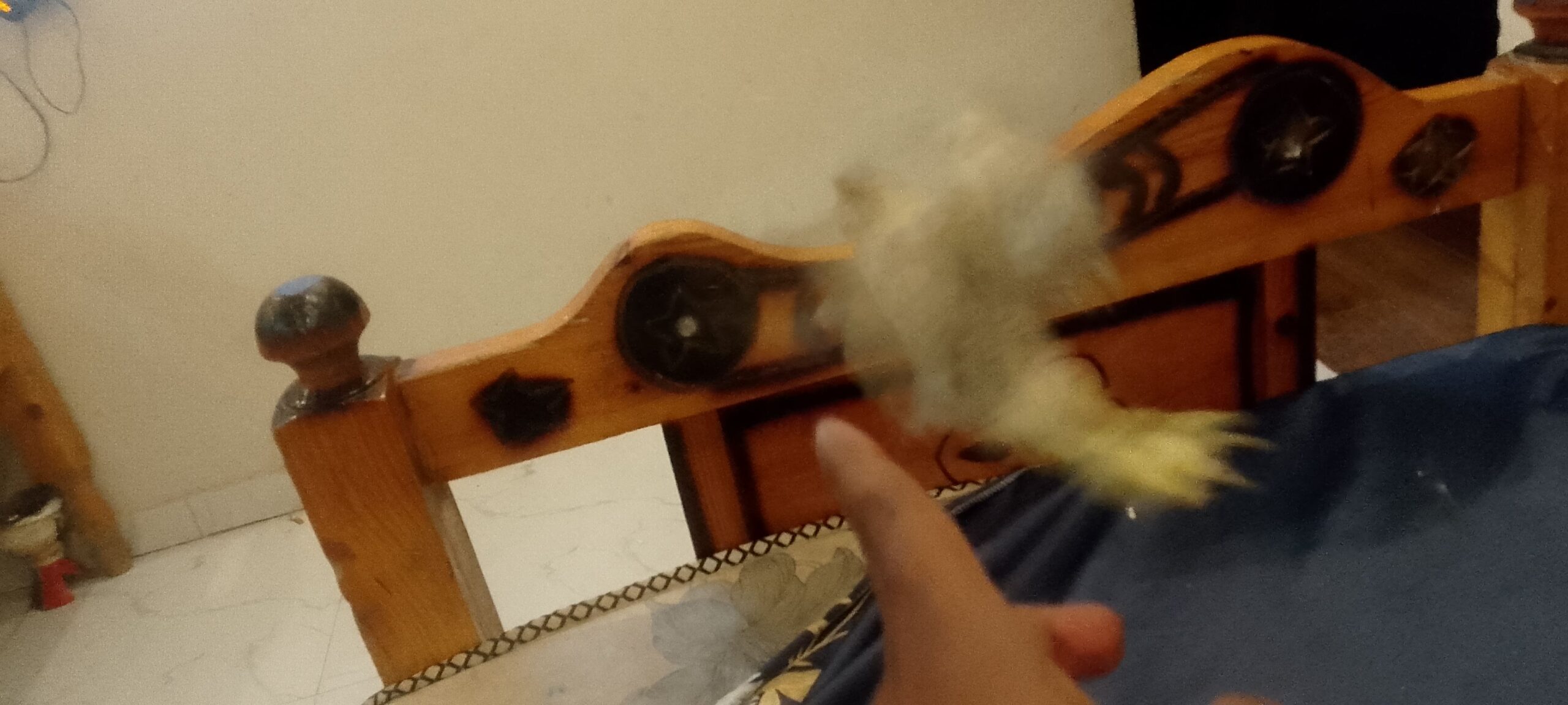 جازان ابوحجر الاسفل