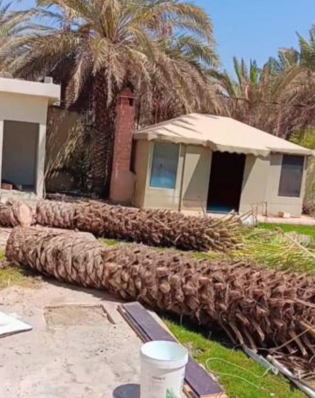 عامل تقطيع الحطب وتشليح الأشجار والنخل المنزل