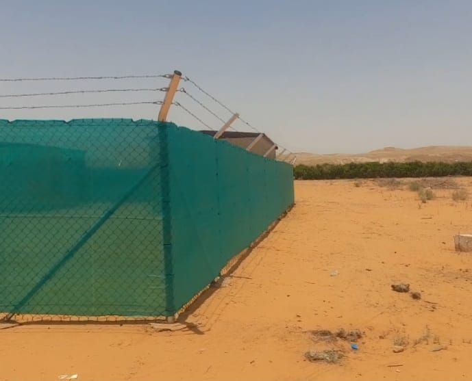 مقاول الشبوك ونخيل