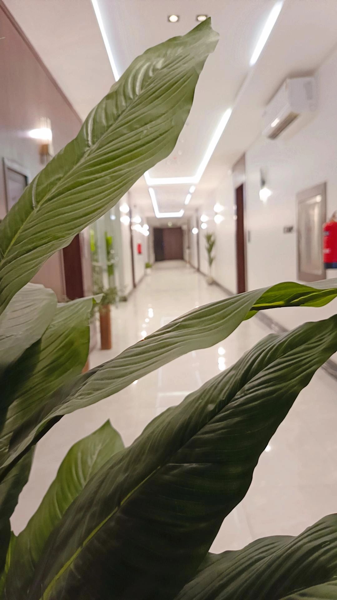 الرياض حي القادسيه