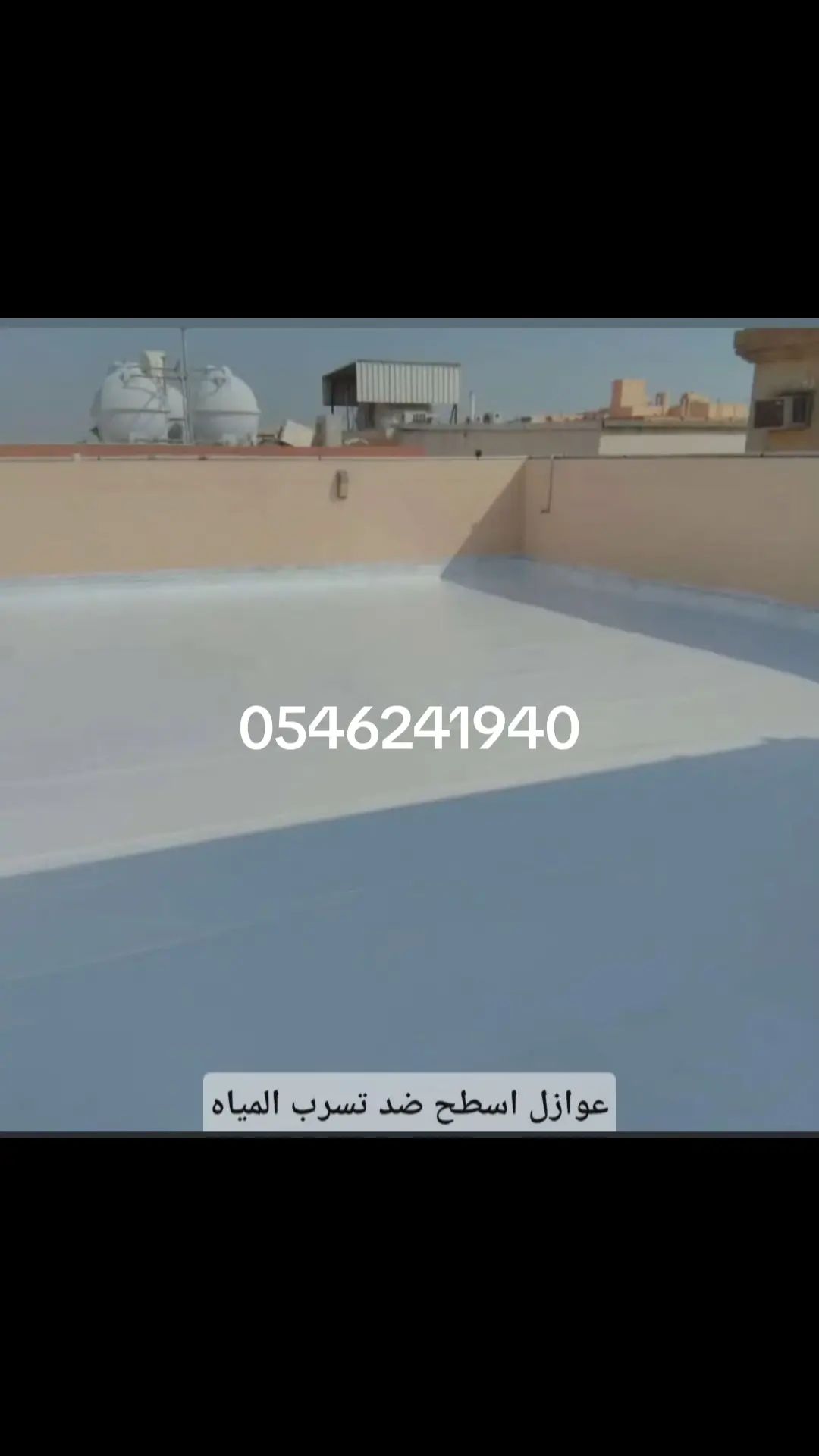 الدما الشرقية