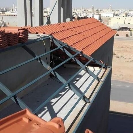الرياض