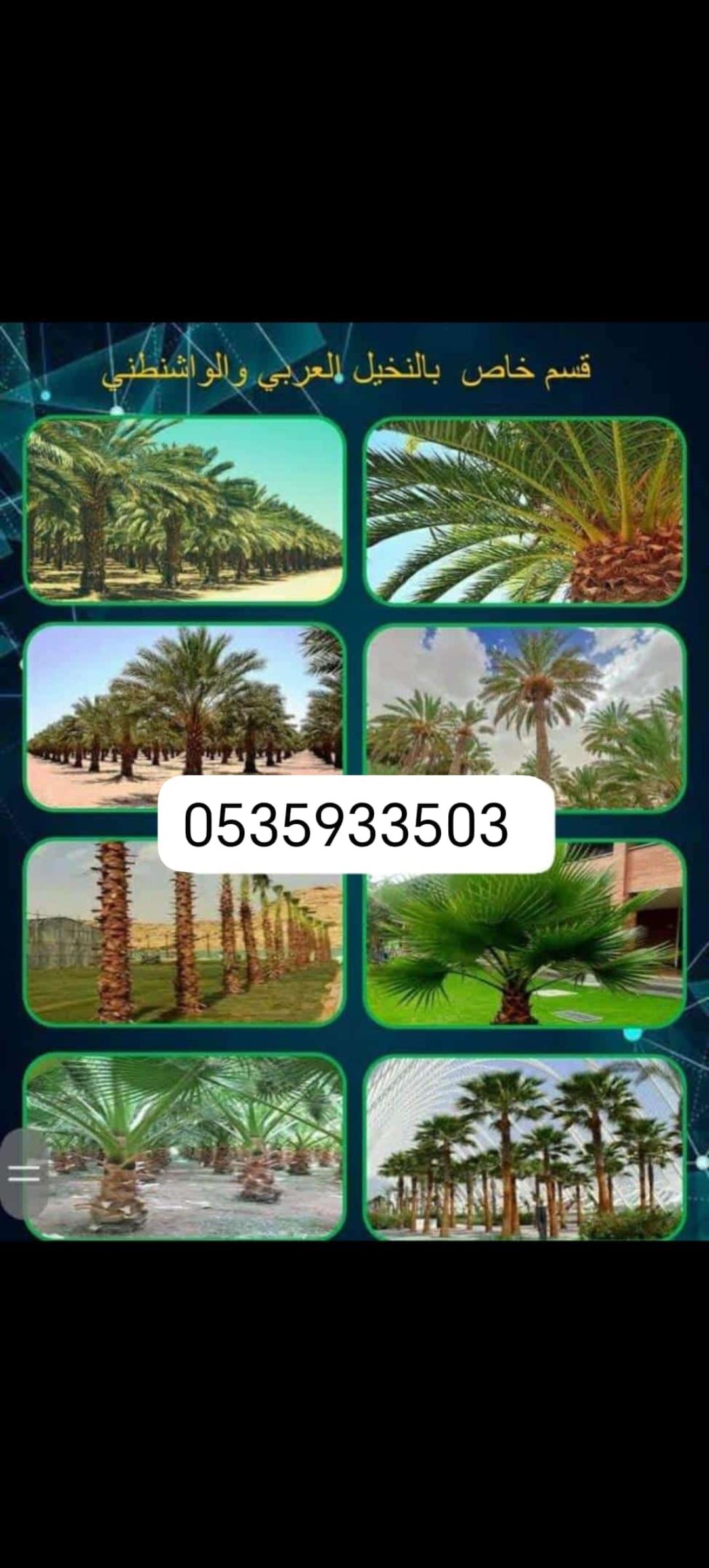 شبوك مزارع وحكوميه وملاعب وخطوط وجميع مواصفات الشب