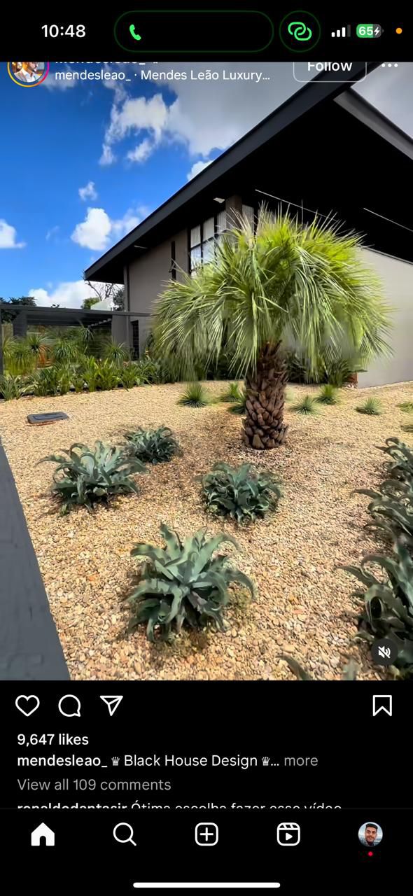 تنسيق الحدايق وزراعة الزهوروالورد