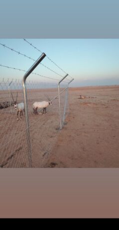 شبوك ملاعب شبوك زراعية شبوك
